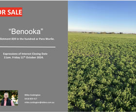 Rural / Farming commercial property sold at 13528 Yorke Highway Warooka SA 5577