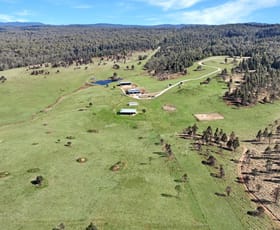 Rural / Farming commercial property for sale at 1458 Bendoc-Orbost Road Bendoc VIC 3888