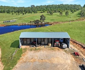 Rural / Farming commercial property for sale at 1458 Bendoc-Orbost Road Bendoc VIC 3888