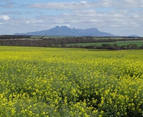 Rural / Farming commercial property sold at 441 Oakdale Road Cowalellup WA 6336