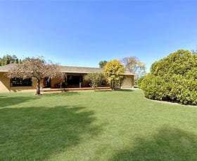Rural / Farming commercial property sold at 10178 Newell Highway Forbes NSW 2871