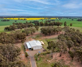 Rural / Farming commercial property for sale at 255 Midland Deviation Cosgrove South VIC 3631