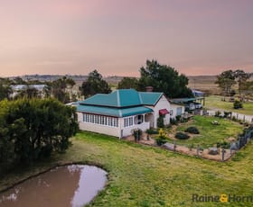 Rural / Farming commercial property for sale at Lot 122 Nine Mile Road Glen Innes NSW 2370