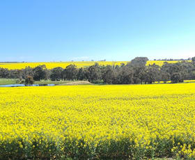 Rural / Farming commercial property for sale at 1606 Wingebellup Road Frankland River WA 6396