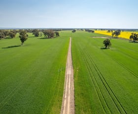 Rural / Farming commercial property sold at 383 O'Brien Road Springhurst VIC 3682