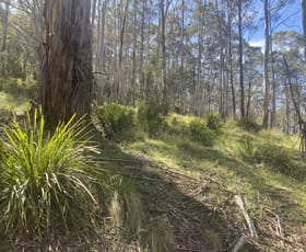 Rural / Farming commercial property for sale at Lot/129 Sheepstation Forest Road Gingkin NSW 2787
