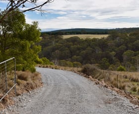 Rural / Farming commercial property for sale at Lot/129 Sheepstation Forest Road Oberon NSW 2787