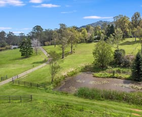 Rural / Farming commercial property for sale at 598 Policeman Spur Road Conondale QLD 4552