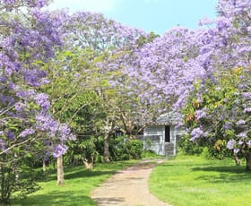 Rural / Farming commercial property for sale at 598 Policeman Spur Road Conondale QLD 4552