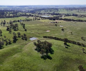 Rural / Farming commercial property sold at 160 Aberbaldie Road Walcha NSW 2354