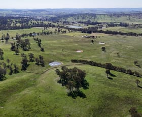 Rural / Farming commercial property for sale at 160 Aberbaldie Road Walcha NSW 2354