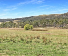 Rural / Farming commercial property for sale at 60 Bucky Springs Road Bombala NSW 2632