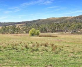 Rural / Farming commercial property for sale at 60 Bucky Springs Road Bombala NSW 2632