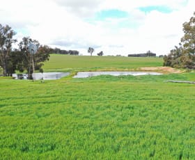 Rural / Farming commercial property for sale at 100 Hall Road Moodiarrup WA 6393