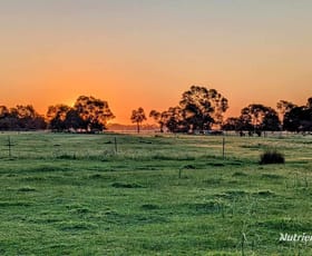 Rural / Farming commercial property sold at Lot 64 Muckenburra Road (Muckenburra) Gingin WA 6503