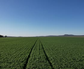 Rural / Farming commercial property sold at 54 Ellerslie Street Premer NSW 2381