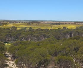 Rural / Farming commercial property sold at 998 Watson Road Latham WA 6616