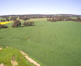 Rural / Farming commercial property for sale at Lot 4 Samson Road Kojonup WA 6395