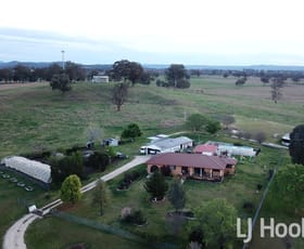 Rural / Farming commercial property sold at 58 Muirhead Street Inverell NSW 2360