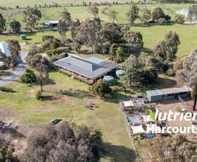 Rural / Farming commercial property for sale at 3442 Wangaratta-Yarrawonga Road Bundalong VIC 3730