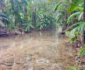 Rural / Farming commercial property for sale at 100 Churchill Creek Road Julatten QLD 4871