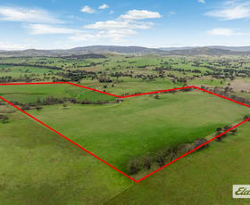 Rural / Farming commercial property sold at Lot 1-25 Joel Joel Road Crowlands VIC 3377