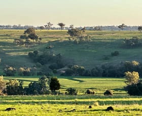 Rural / Farming commercial property for sale at 907 Lecoin Road Delungra NSW 2403