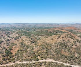 Rural / Farming commercial property for sale at lot 20 Parachilna Gorge Road Blinman SA 5730