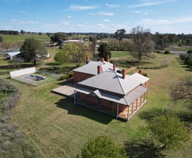 Rural / Farming commercial property for sale at 2438 Humula Road Tarcutta NSW 2652