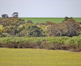 Rural / Farming commercial property for sale at Lot 14 Kulin/Dudinin Road Dudinin WA 6363