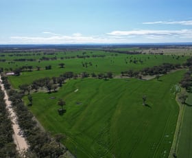 Rural / Farming commercial property for sale at 3531 Yetman Road Graman NSW 2360