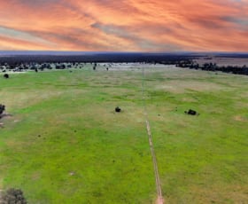 Rural / Farming commercial property for sale at 1857 Stumpy Lane Wee Waa NSW 2388