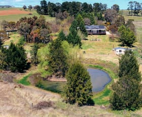 Rural / Farming commercial property sold at 97 Fry's Lane White Rock NSW 2795
