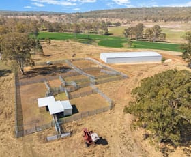 Rural / Farming commercial property for sale at 487 Schmidhausers Road Windera QLD 4605