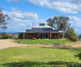 Rural / Farming commercial property for sale at 13407 Hume Highway Woomargama NSW 2644