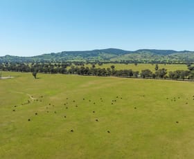 Rural / Farming commercial property sold at Mahers Road Violet Town VIC 3669
