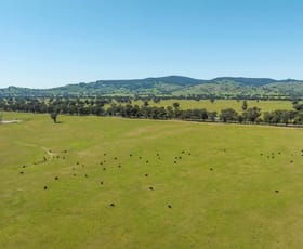 Rural / Farming commercial property for sale at Mahers Road Violet Town VIC 3669