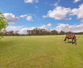 Rural / Farming commercial property for sale at 202 Bull Ridge Road East Kurrajong NSW 2758