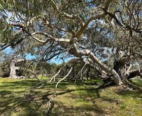 Rural / Farming commercial property sold at Sec 82 & 1 Windemere Road Mount Drummond SA 5607