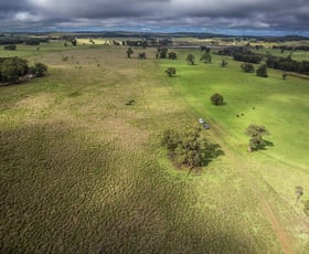 Rural / Farming commercial property sold at 16090 Oxley Highway Coonabarabran NSW 2357