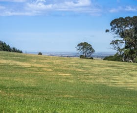 Rural / Farming commercial property sold at 342 Klenke Road Red Creek SA 5255