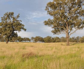 Rural / Farming commercial property for sale at 51 Queen St Bunnan NSW 2337