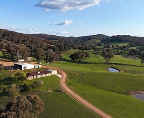 Rural / Farming commercial property for sale at 468 Vokins Creek Road Little Billabong NSW 2644