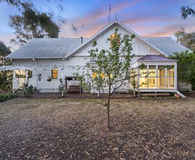Rural / Farming commercial property for sale at 540 Pine Lodge Road Tocumwal NSW 2714