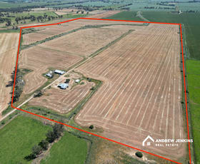 Rural / Farming commercial property for sale at 62 Gunns Lane Katunga VIC 3640