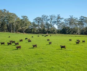 Rural / Farming commercial property for sale at 74 Bril Bril Road Rollands Plains NSW 2441