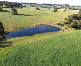 Rural / Farming commercial property for sale at 466 Crest Hill Road Mooliabeenee WA 6504