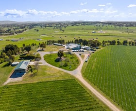 Rural / Farming commercial property for sale at "Bluebell Estate"122 Bluebell Lane Murrumbateman NSW 2582