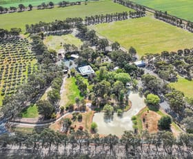 Rural / Farming commercial property for sale at 7661 Northern Highway, Bamawm Echuca VIC 3564