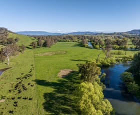 Rural / Farming commercial property for sale at 367 Nimbo Road Tumut NSW 2720